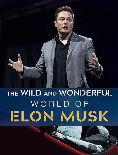 Дикий и удивительный мир Илона Маска / The Wild and Wonderful World of Elon Musk (2022) HDTVRip 720p | P1