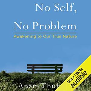 No Self, No Problem Awakening to Our True Nature