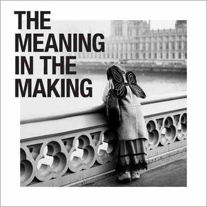 The Meaning in the Making The How and Why Behind Our Human Need to Create [Audiobook]