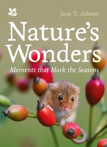Nature’s Wonders Moments That Mark the Seasons