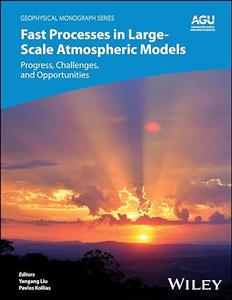 Fast Processes in Large–Scale Atmospheric Models Progress, Challenges, and Opportunities