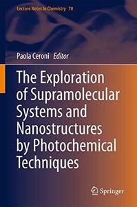 The Exploration of Supramolecular Systems and Nanostructures by Photochemical Techniques