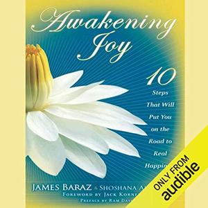 Awakening Joy 10 Steps That Will Put You on the Road to Real Happiness