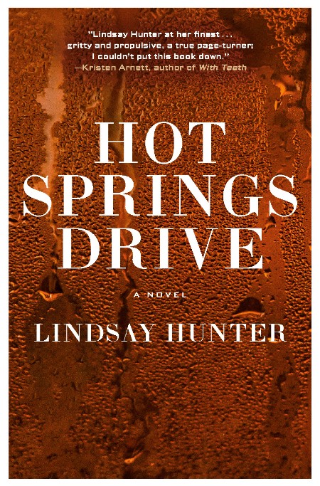 Hot Springs Drive by Lindsay Hunter D9a09a8ef9890aeba10560d502339bdd