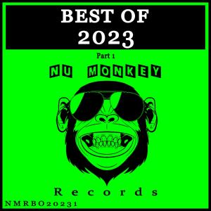 Best Of Nu Monkey Records 2023 Pt 1 (2023)