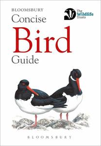 Concise Bird Guide (Bloomsbury Concise Guides)