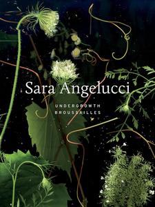 Sara Angelucci Undergrowth  Broussailles