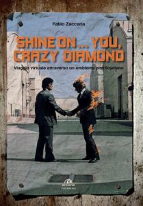 Shine on...you, crazy diamond Viaggio virtuale attraverso un emblema pinkfloydiano