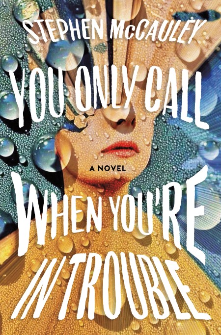 You Only Call When You're in Trouble by Stephen McCauley 4d1460f4266b94ea235c34bd422c31fb