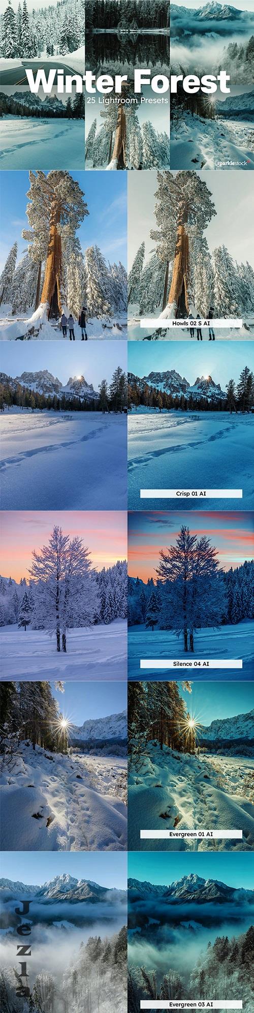 20 Winter Forest Lightroom Presets - 91927030