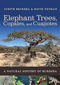 Elephant Trees, Copales, and Cuajiotes A Natural History of Bursera
