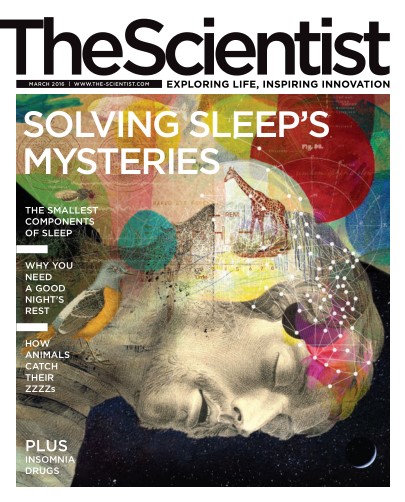 The Scientist – March 2016