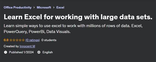 Learn Excel for working with large data sets