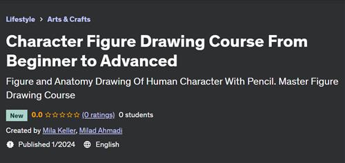 Character Figure Drawing Course From Beginner to Advanced