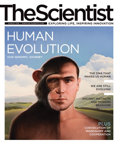 The Scientist – August 2016