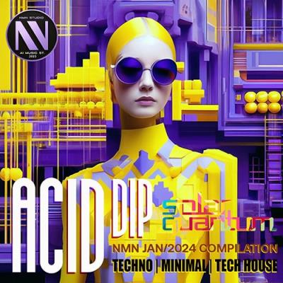 VA - Acid Dip (2024) MP3
