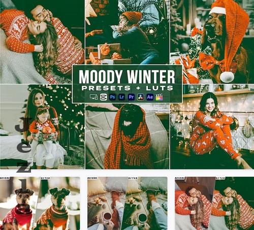 Moody Winter Luts + Presets Mobile & Desctop - ME3RGW2