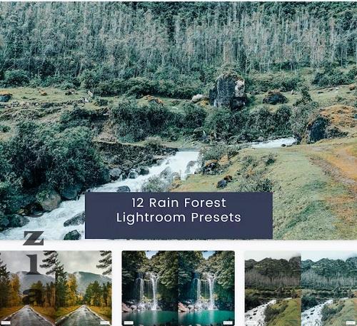 12 Rain Forest Lightroom Presets - WS5RR4