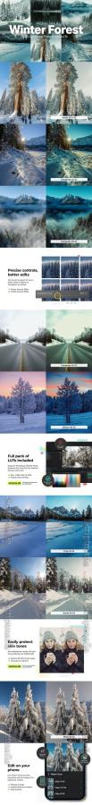 20 Winter Forest Lightroom Presets & LUTs