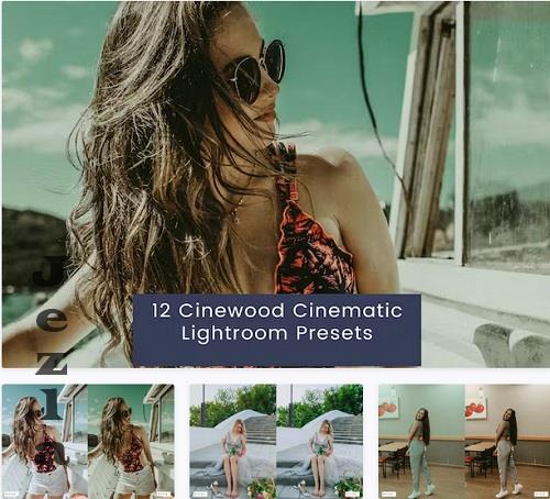 12 Cinewood Cinematic Lightroom Presets - L79MP2F