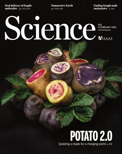 Science – 8 February 2019