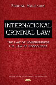 International Criminal Law  The Law of Somebodiness, The Law of Nobodiness