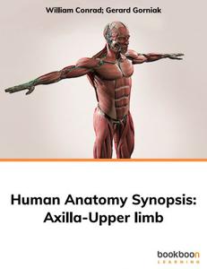 Human Anatomy Synopsis  Axilla–Upper limb