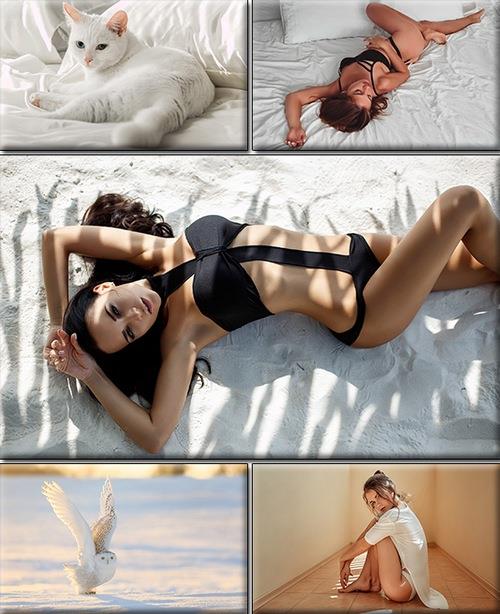 LIFEstyle News MiXture Images. Wallpapers Part (2012)