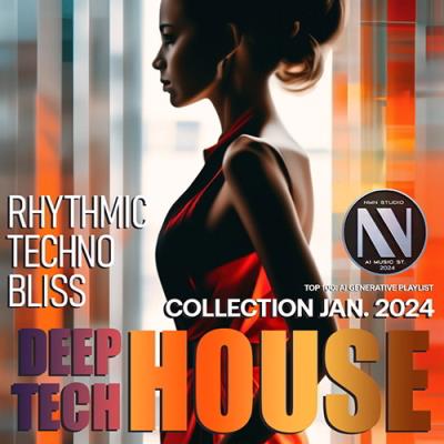 VA - Rhythmic Tech Bliss (2024) MP3