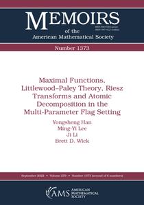 Maximal Functions, Littlewood–Paley Theory, Riesz Transforms and Atomic Decomposition in the Multi–Parameter Flag Setting