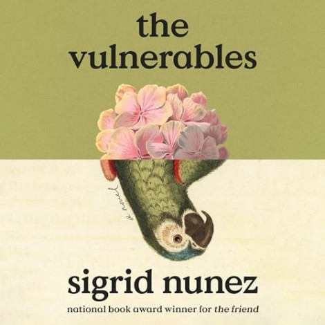 Sigrid Nunez - (2023) - The Vulnerables (fiction)  E3c4bf266c3ade64b2658d087079c705