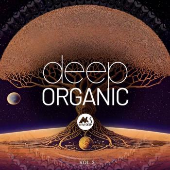 VA - Deep Organic Vol 3 (2024) MP3