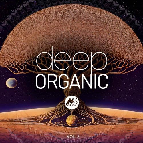 VA - Deep Organic Vol 3 (2024) (MP3)