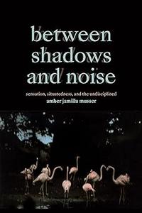 Between Shadows and Noise Sensation, Situatedness, and the Undisciplined