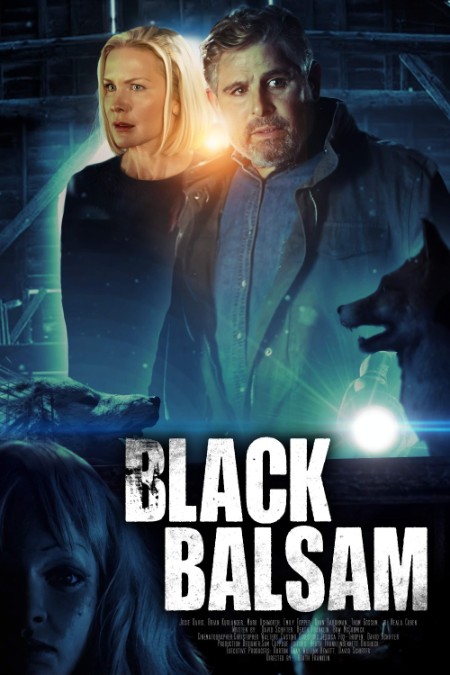 Black Balsam (2022) 720p WEBRip x264 AAC-YTS 864dca299d6a0e3758e65d05e5fcfced