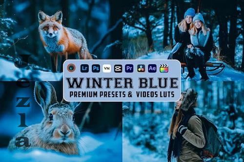 Winter Blue Luts Video And Presets Mobile Desktop - Q5HTQWQ