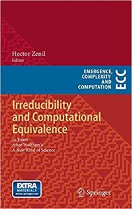 Irreducibility and Computational Equivalence 10 Years After Wolfram’s A New Kind of Science