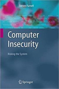 Computer Insecurity Risking the System