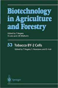 Tobacco BY–2 Cells (Biotechnology in Agriculture and Forestry)