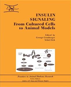 Insulin Signaling From Cultured Cells to Animal Models