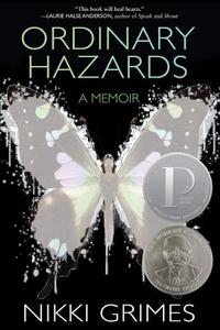 Ordinary Hazards A Memoir