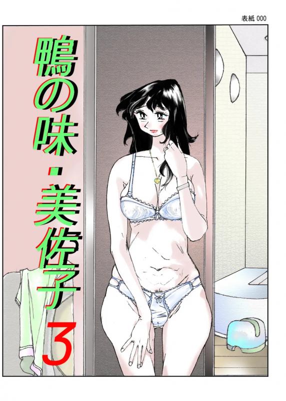 [Katanashi Apollo] Kamo no Aji - Misako 3 [English] Hentai Comic