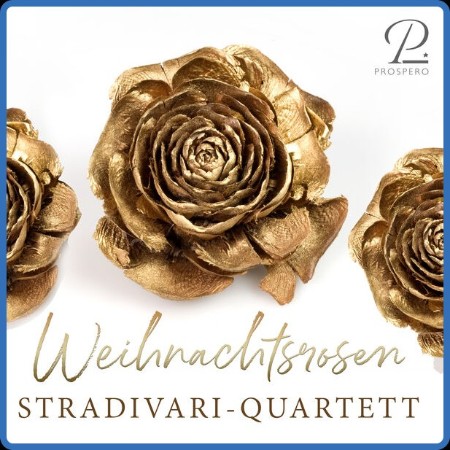 Stradivari Quartett - Weihnachtsrosen 2023