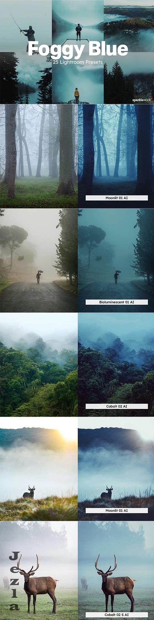 20 Foggy Blue Lightroom Presets LUTs - 91945901