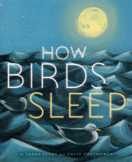 How Birds Sleep by David Obuchowski 862398d523aaac2357a35f5cd675bdd2