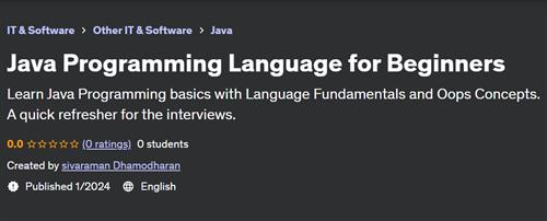Java Programming Language for Beginners (2024)