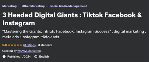 3 Headed Digital Giants – Tiktok Facebook & Instagram