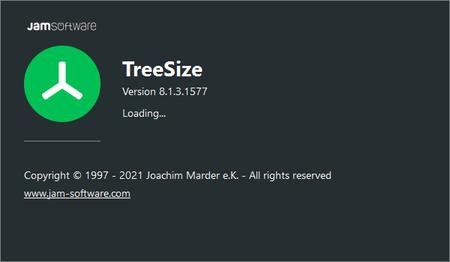 TreeSize Professional 9.1.0.1866 Multilingual + Portable