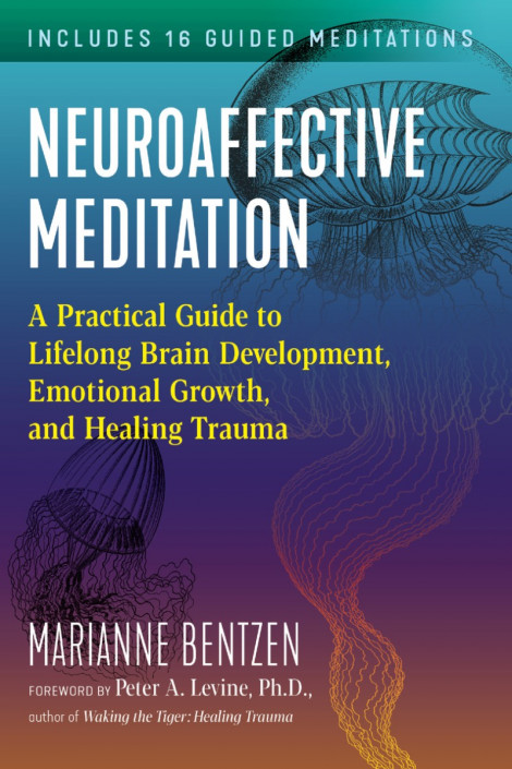 Neuroaffective Meditation  1e9eff199aa1bdbee6149e608da1202e