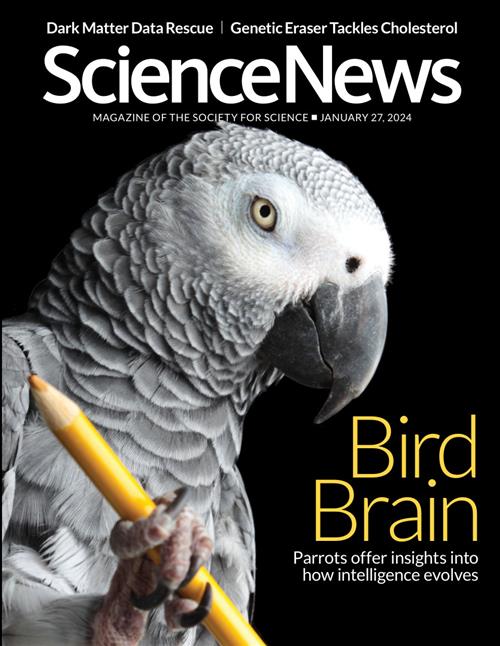 Science News – 27 January 2024